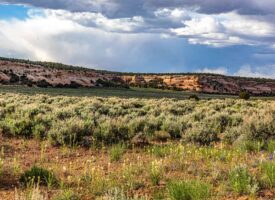 Trail Canyon Ranch For Sale – A Colorado Trophy Elk Hunting Property