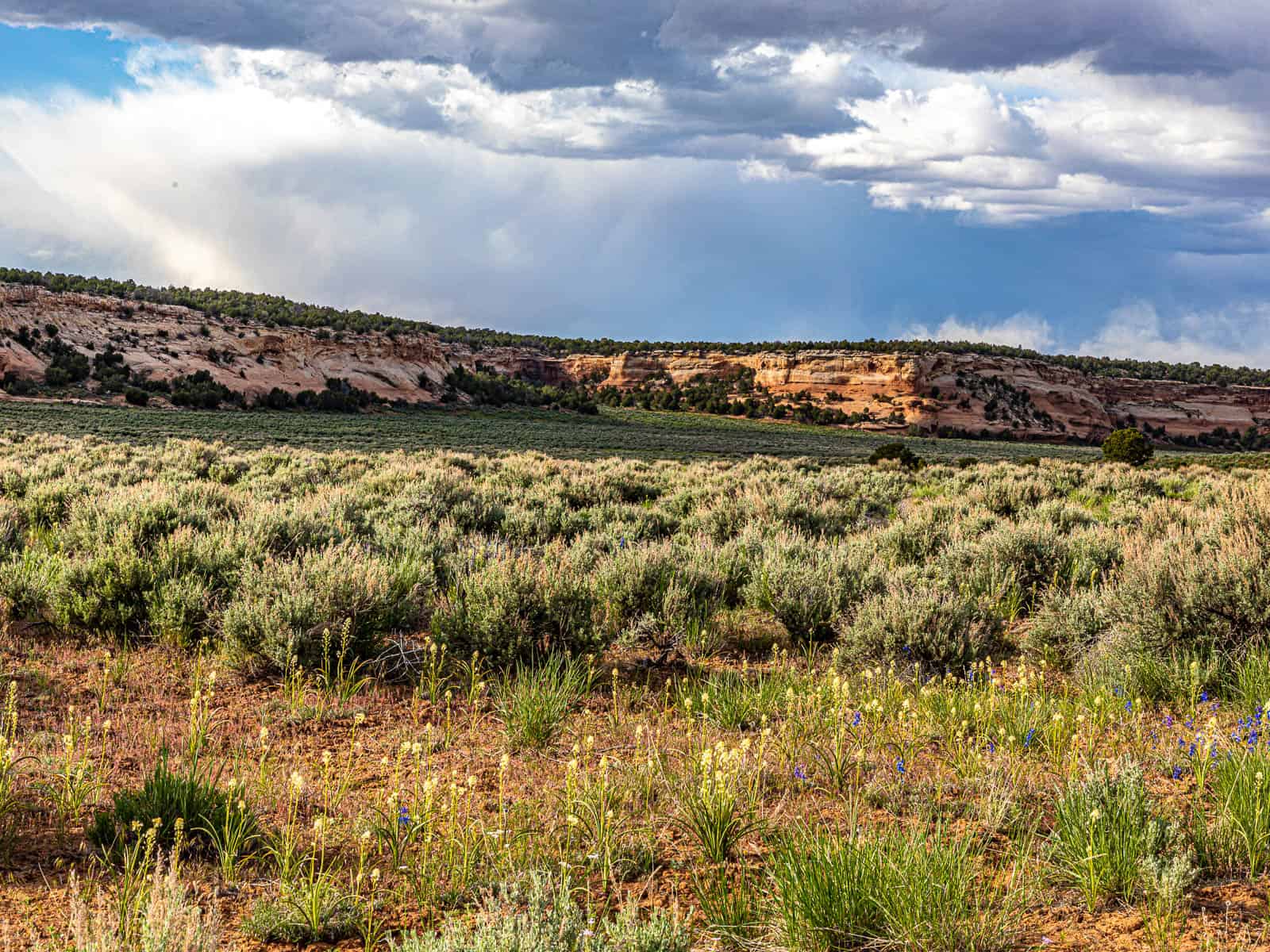 Trail Canyon Ranch For Sale – A Colorado Trophy Elk Hunting Property