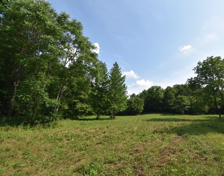 Secluded Wooded Paradise 233.22 Acres with Owner Financing!