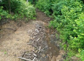 Hilltop Property Offering Retreat with Spring For Sale in Linden, TN!