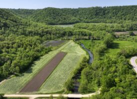 161+/- Acre Property Nestled in the Heart of the Driftless Region