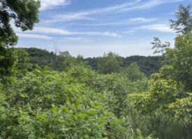 29+ acre parcel located in the Driftless Area of Wisconsin