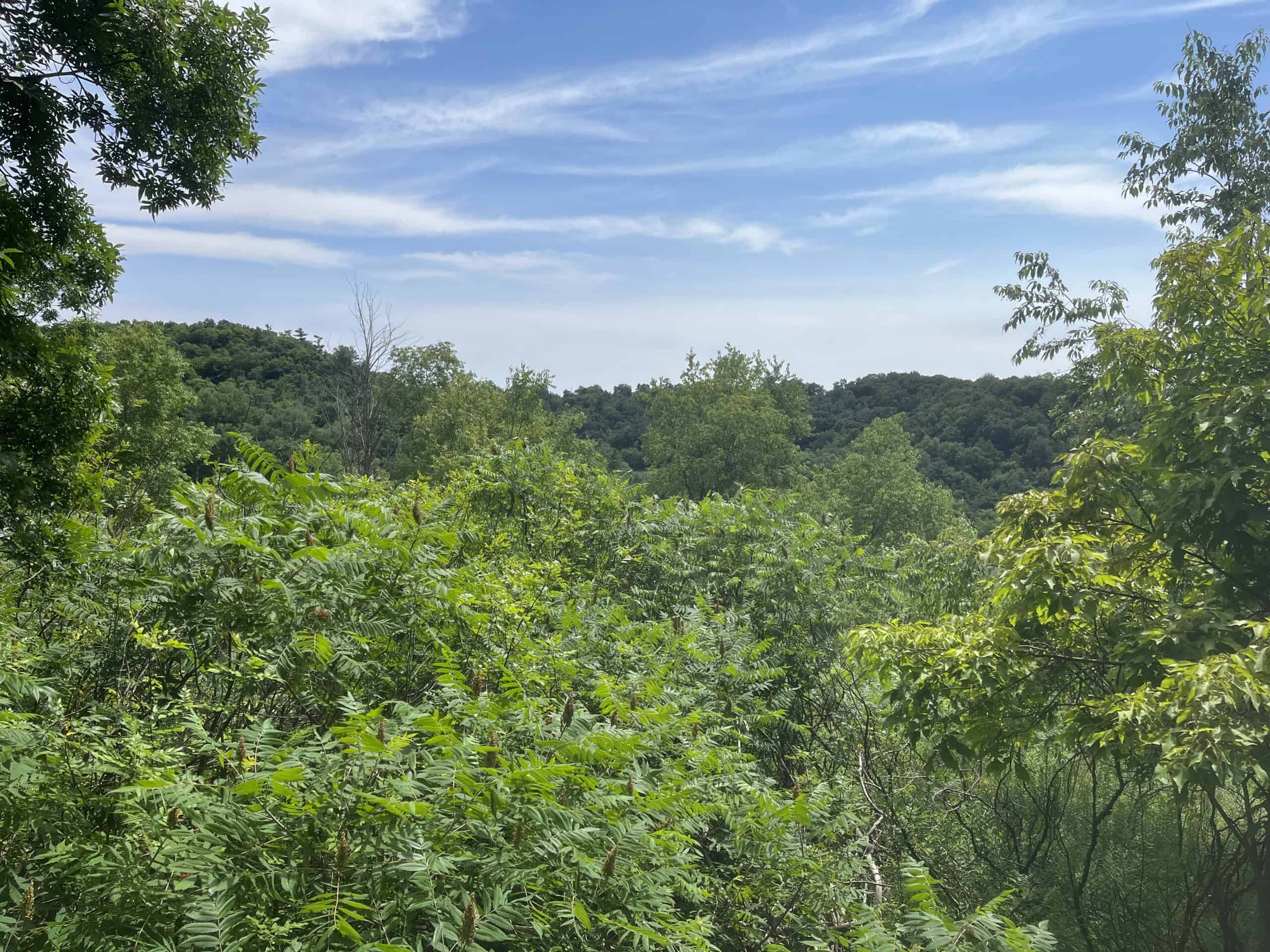 29+ acre parcel located in the Driftless Area of Wisconsin