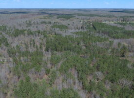 ACREAGE FOR SALE IN TN – UNRESTRICTED LAND, HUNTING, CREEK, POND