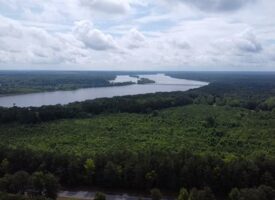 Magnificent Acres In Southern VA