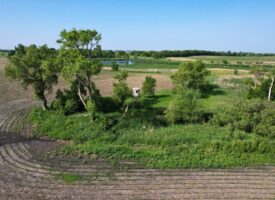 27 Acre Deer & Waterfowl Hunting Land Honey Hole in Pope County, Minnesota!