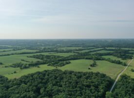 For Sale 403 Acres m/l