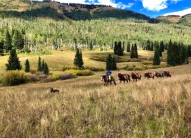 Northwest Colorado Outfitting Business with Home Base, Ranch & 2 Homes