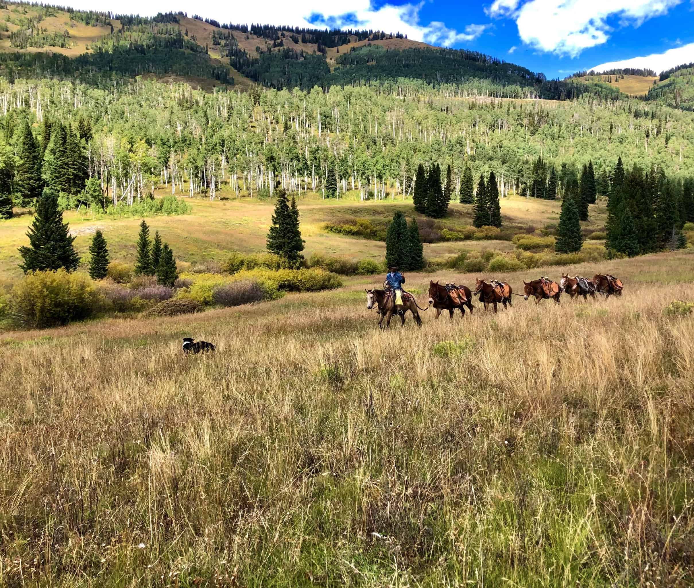 Northwest Colorado Outfitting Business with Home Base, Ranch & 2 Homes