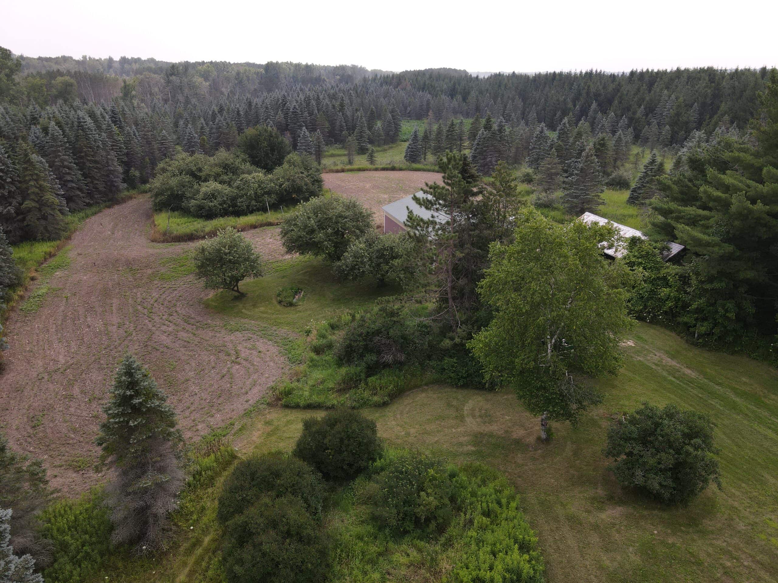 80 Acres Iosco County Michigan