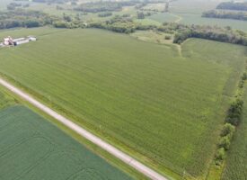 116.5+/- Acres Located in Southeastern Columbia County WI