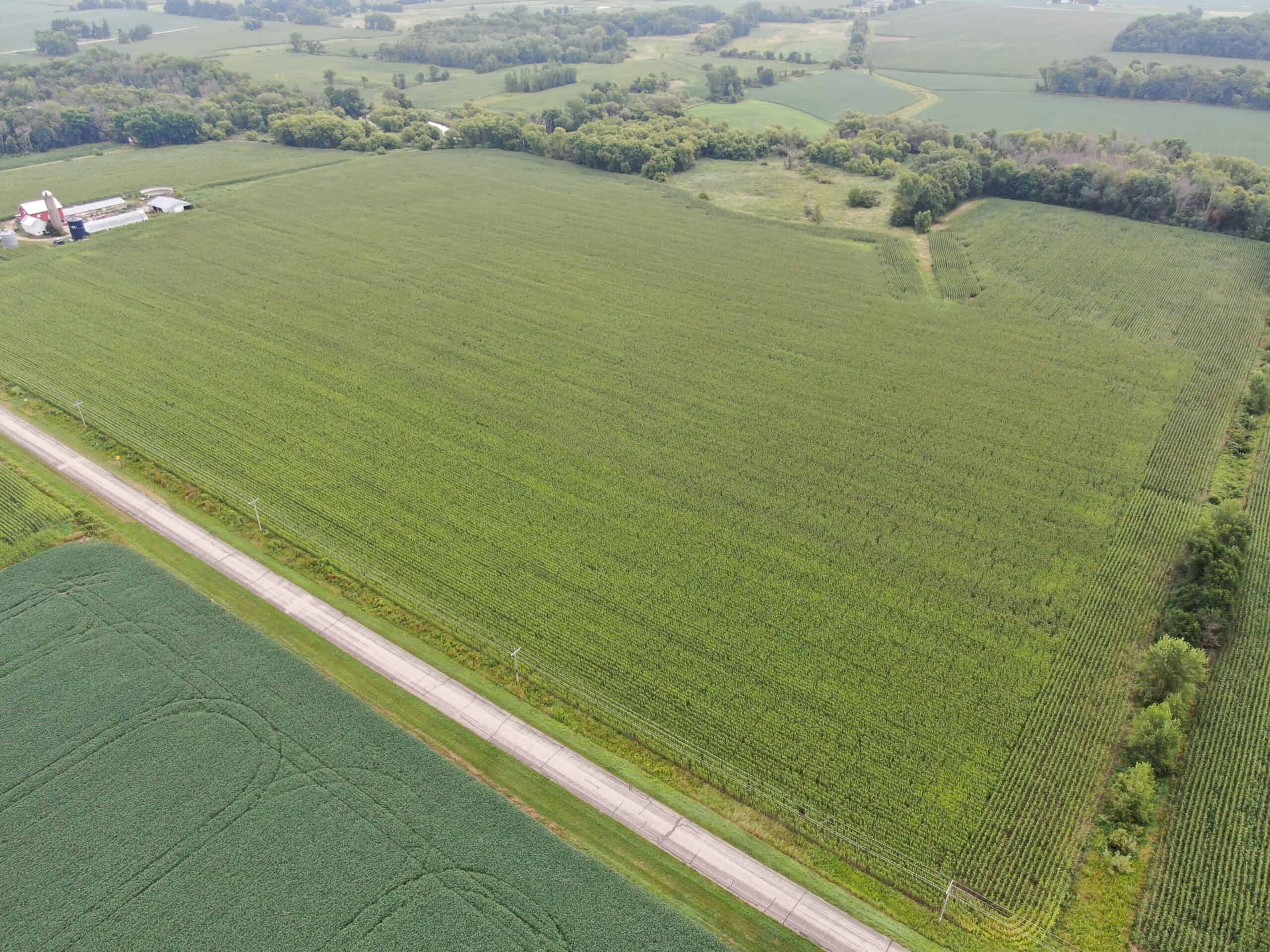 116.5+/- Acres Located in Southeastern Columbia County WI