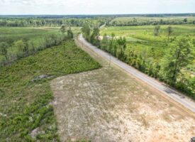 36.65 Acres Land for Sale Amite County, MS