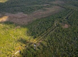 1600 Acres Land for Sale Outside of Baton Rouge, LA