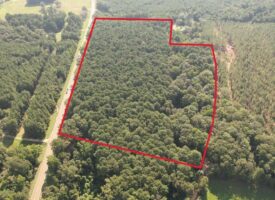 +/- 22 Acre Timber/Hunting Tract in Amite County, MS