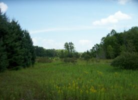 Trophy Whitetail Deer Hunting Property Columbia County WI