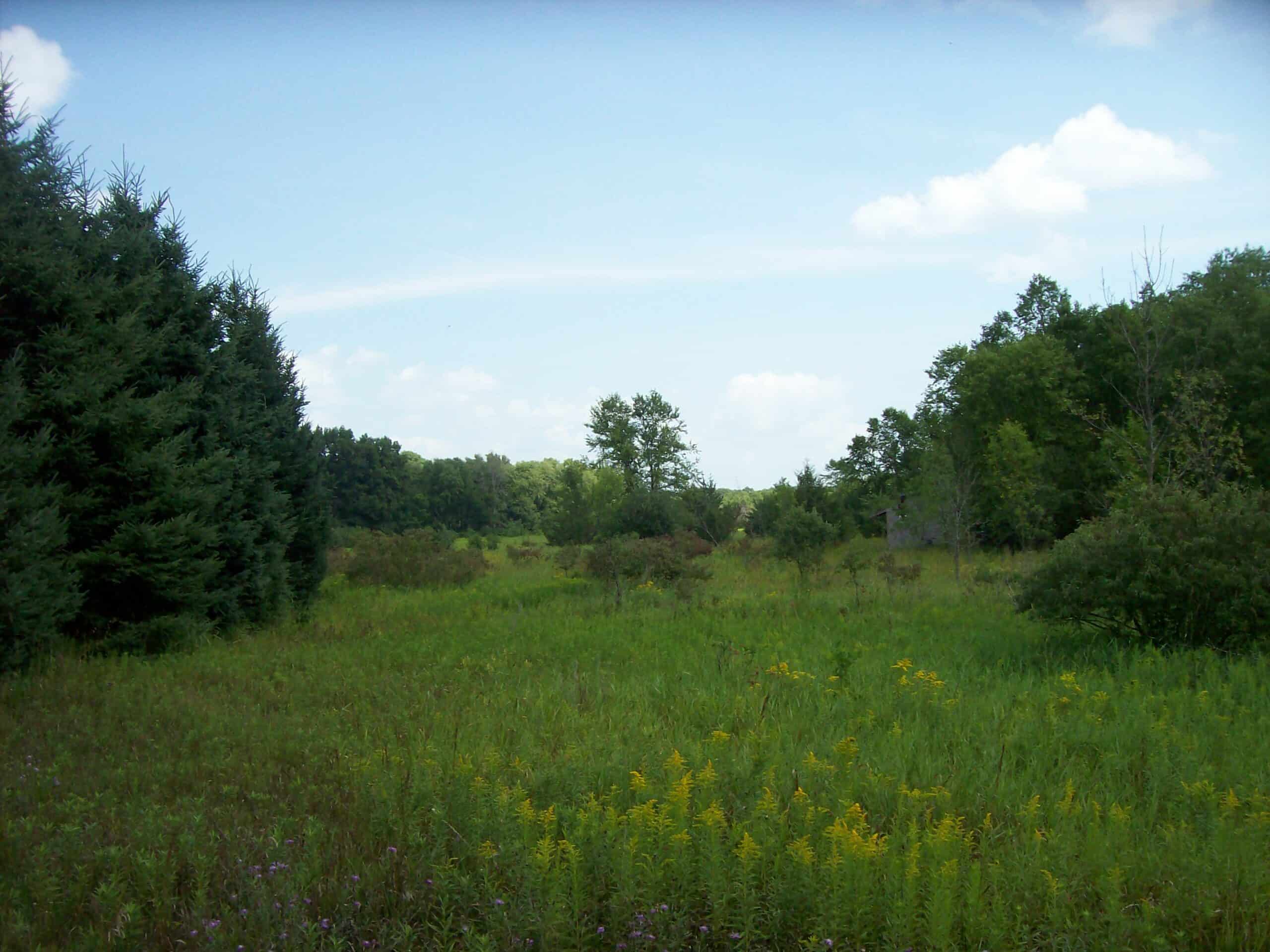 Trophy Whitetail Deer Hunting Property Columbia County WI