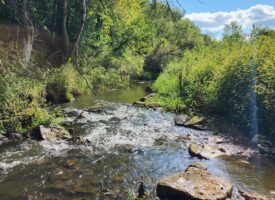 60 Acres, Big Bucks!, Trout Stream, Certified Organic Land, Impressive Barn, A Place To Build
