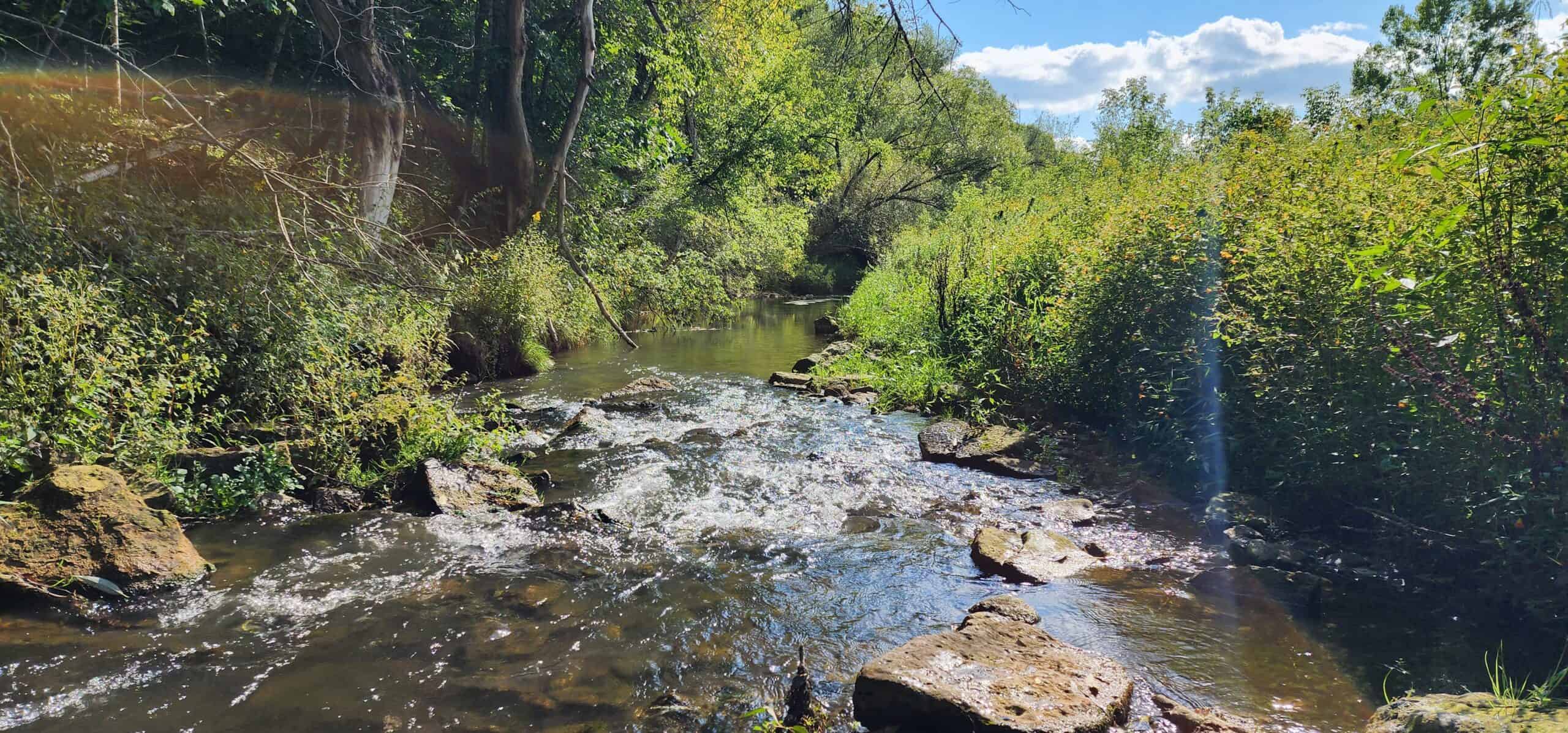 60 Acres, Big Bucks!, Trout Stream, Certified Organic Land, Impressive Barn, A Place To Build