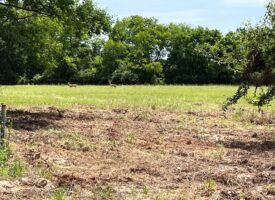 SOLD! Texas Hunting Land for Sale in Alba Near Lake Fork