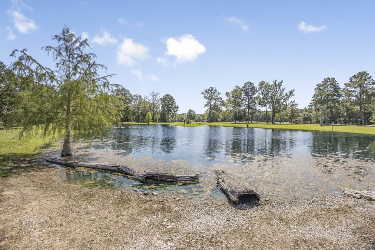 Hunting Land for Sale Wilkinson County MS with Custom Lodge