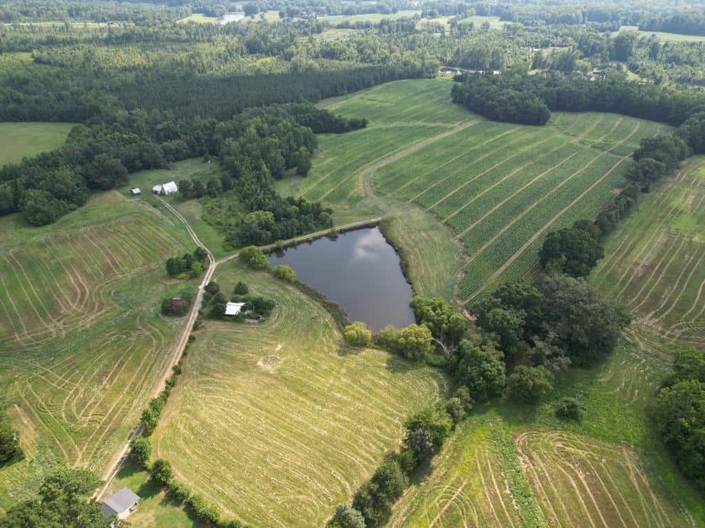 Cutsey Hill Haven!