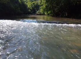 Trophy Hunting Property On The Banister River