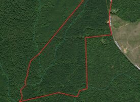 Prime Investment Property with Diverse Potential: Lunenburg County, VA