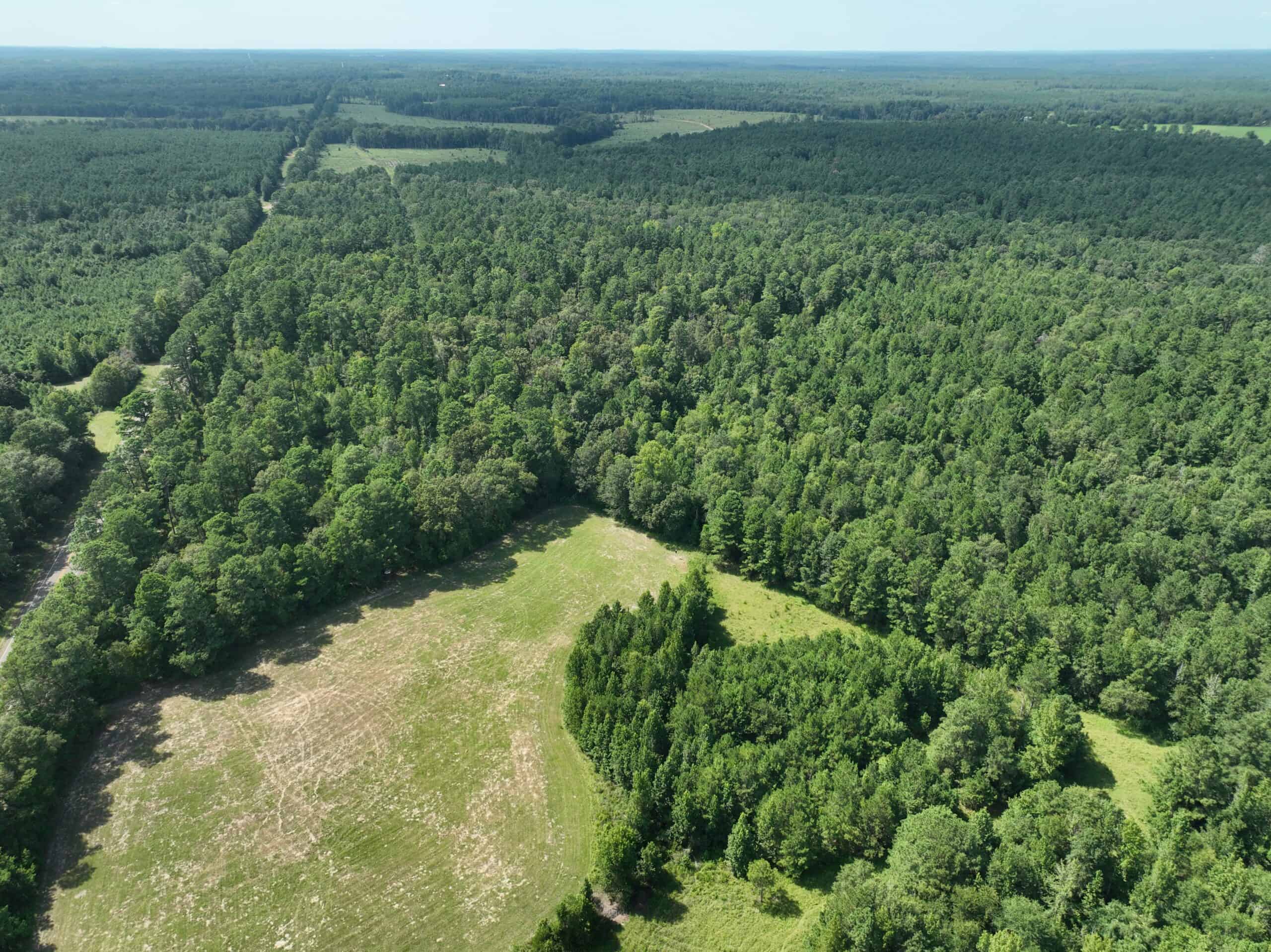 East Tx Hunting Property