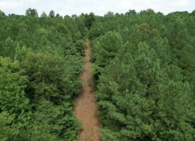 The Wick – 222 Acres Land for Sale Union County, MS