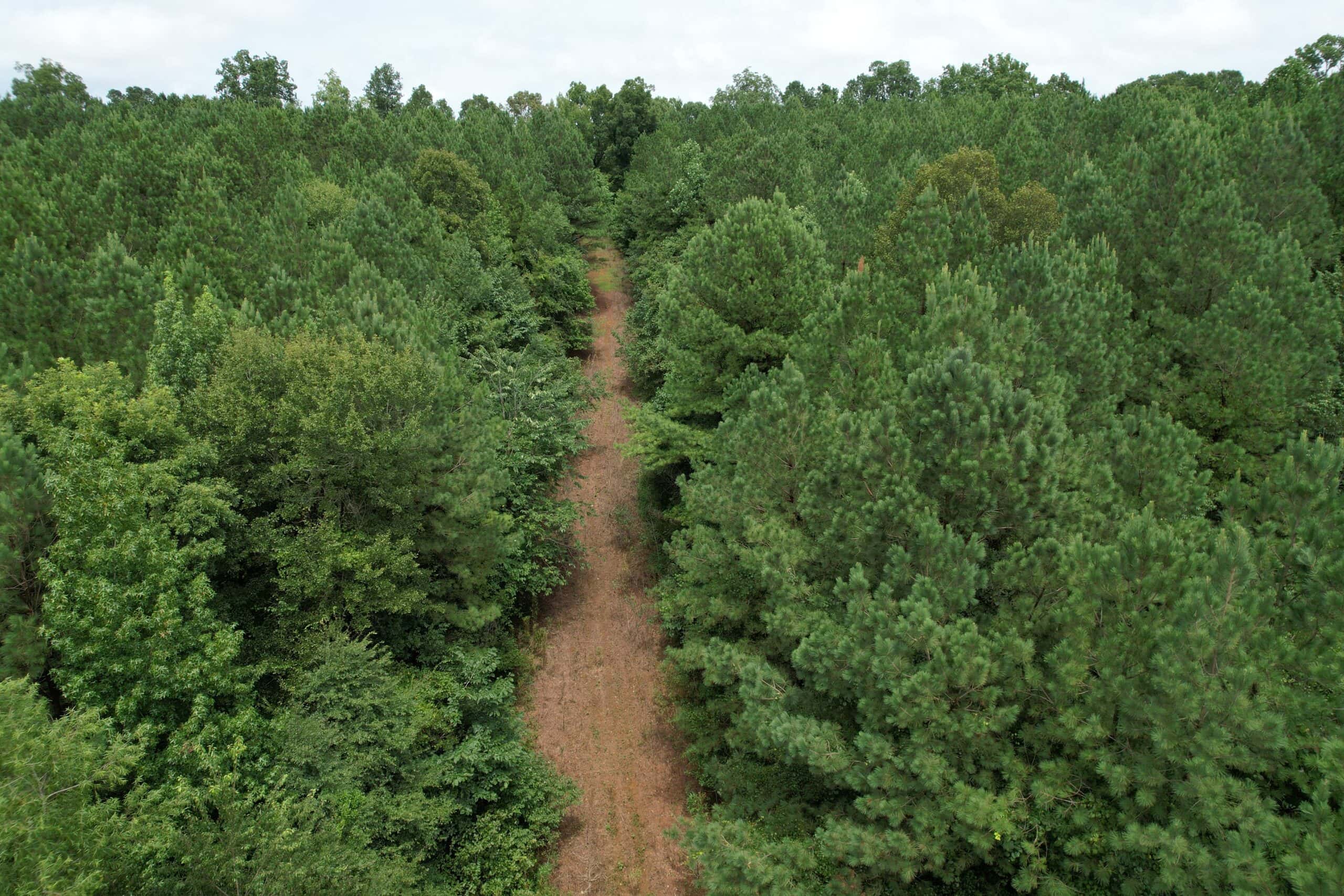 The Wick – 222 Acres Land for Sale Union County, MS