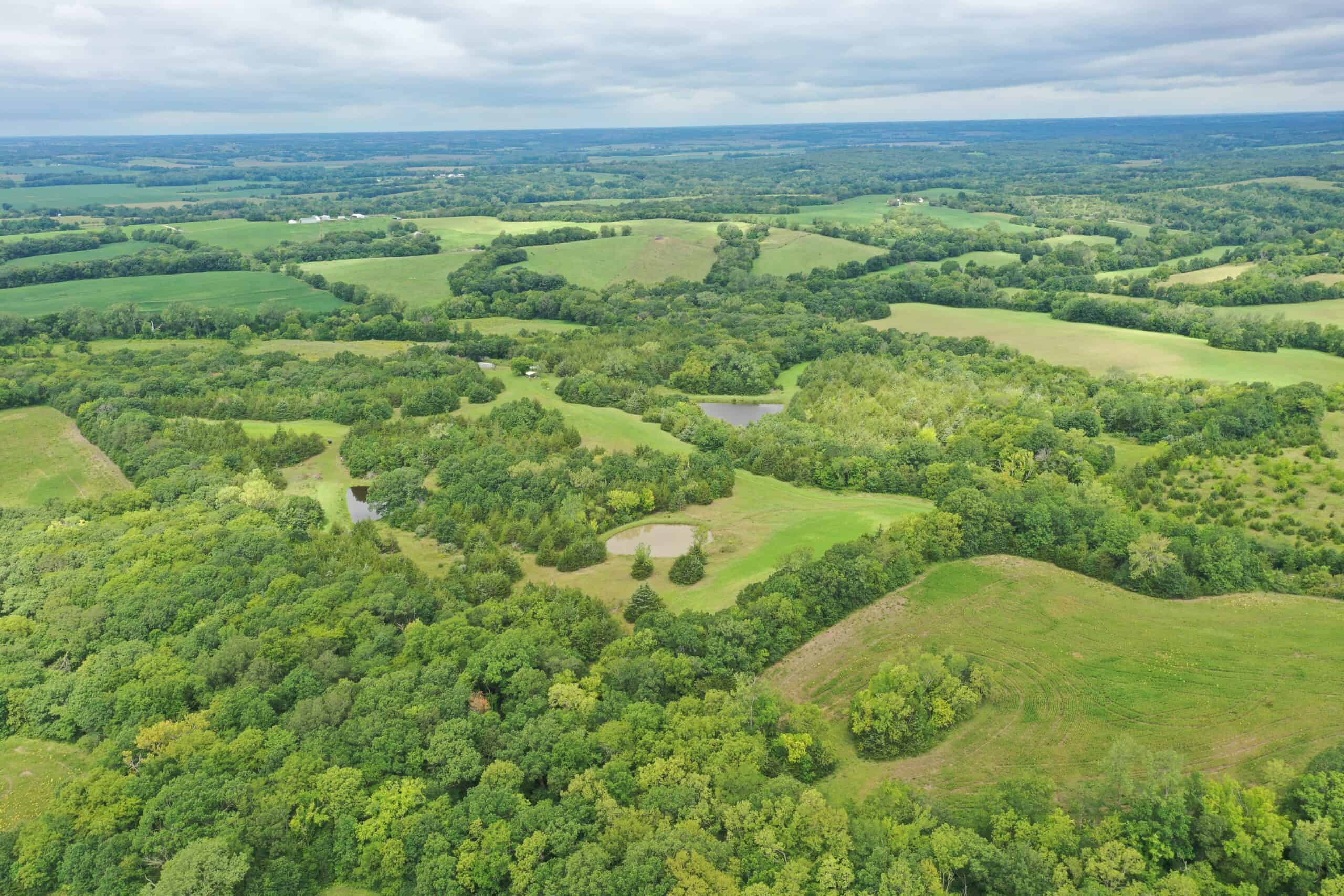 For Sale 40 Acre Hunting Tract in Mercer County MO