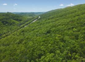 Serenity Unleashed: Embrace Nature’s Bounty in East Tennessee’s Hidden Gem
