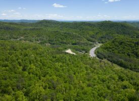 Serene Haven in East Tennessee: Embrace Nature’s Splendor