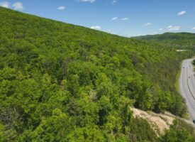 Discover the Hidden Gem of East Tennessee: Unrestricted Woodland in Bean Station, Grainger County, a Paradise of Possibilities