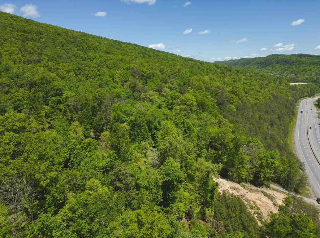 Discover the Hidden Gem of East Tennessee: Unrestricted Woodland in Bean Station, Grainger County, a Paradise of Possibilities