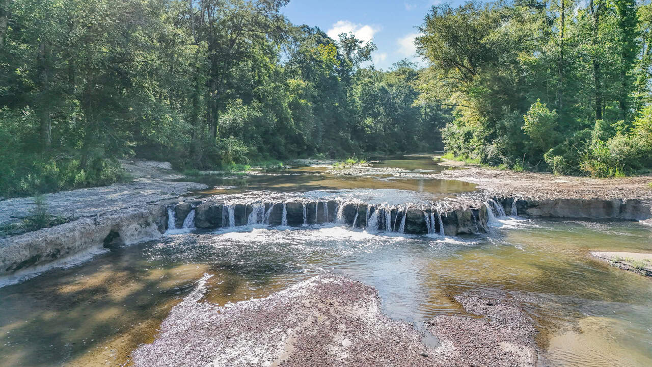 Hunting Land for Sale Wilkinson County MS with Custom Lodge