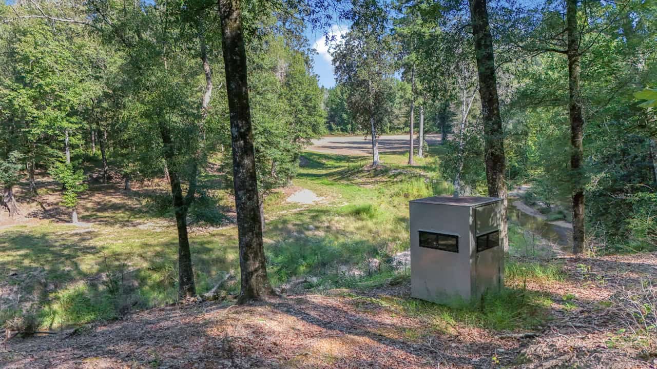 Hunting Land for Sale Wilkinson County MS with Custom Lodge