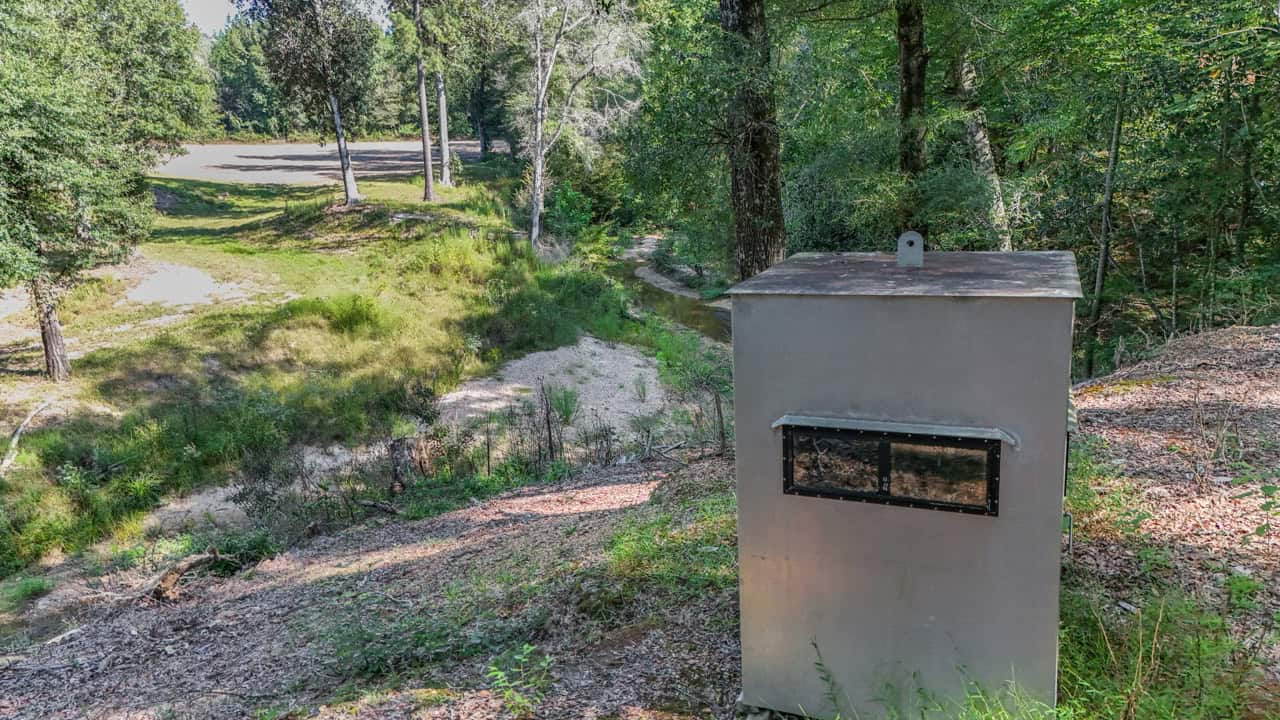 Hunting Land for Sale Wilkinson County MS with Custom Lodge