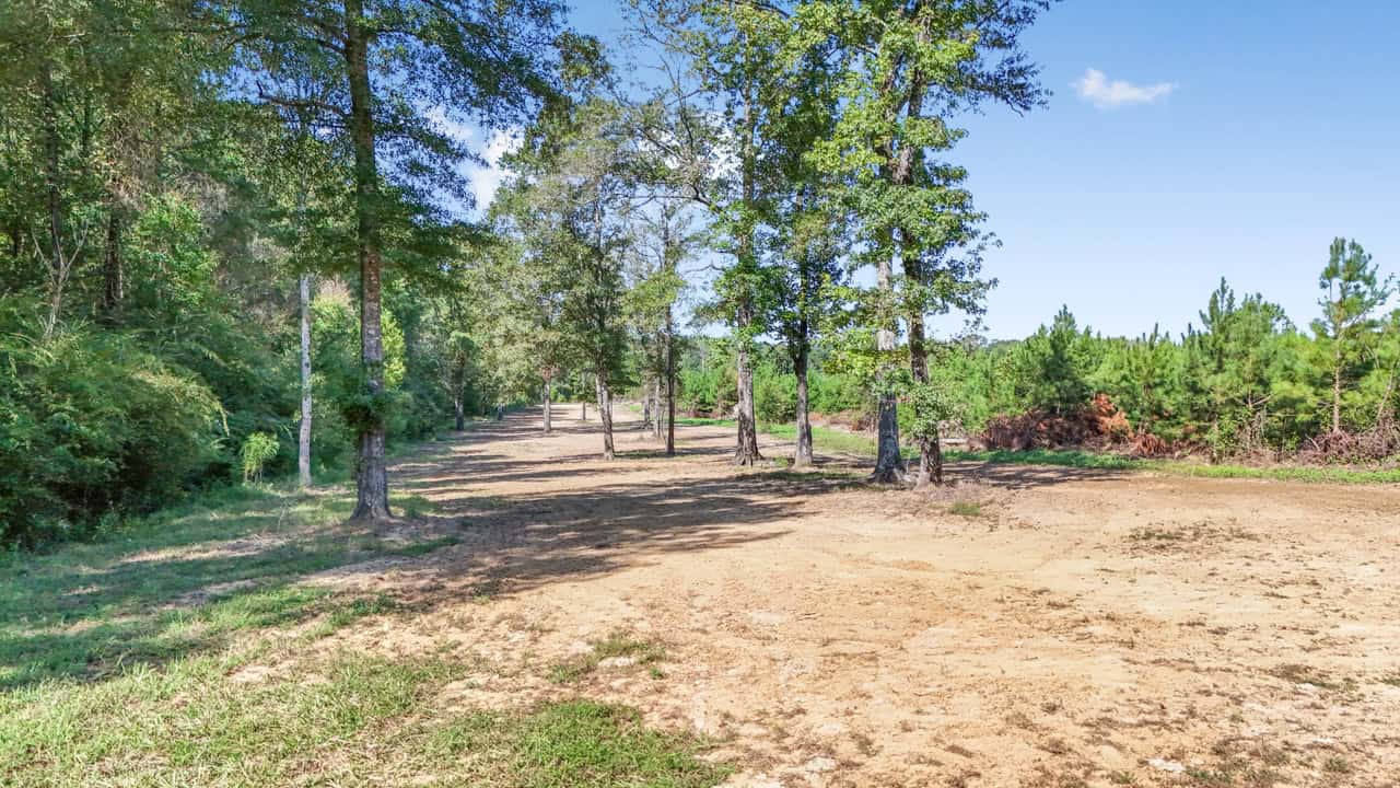 Hunting Land for Sale Wilkinson County MS with Custom Lodge