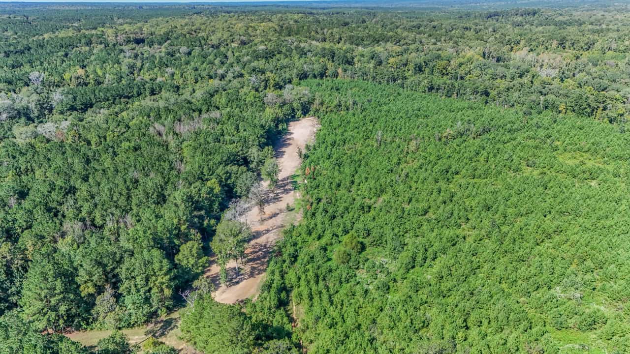 Hunting Land for Sale Wilkinson County MS with Custom Lodge