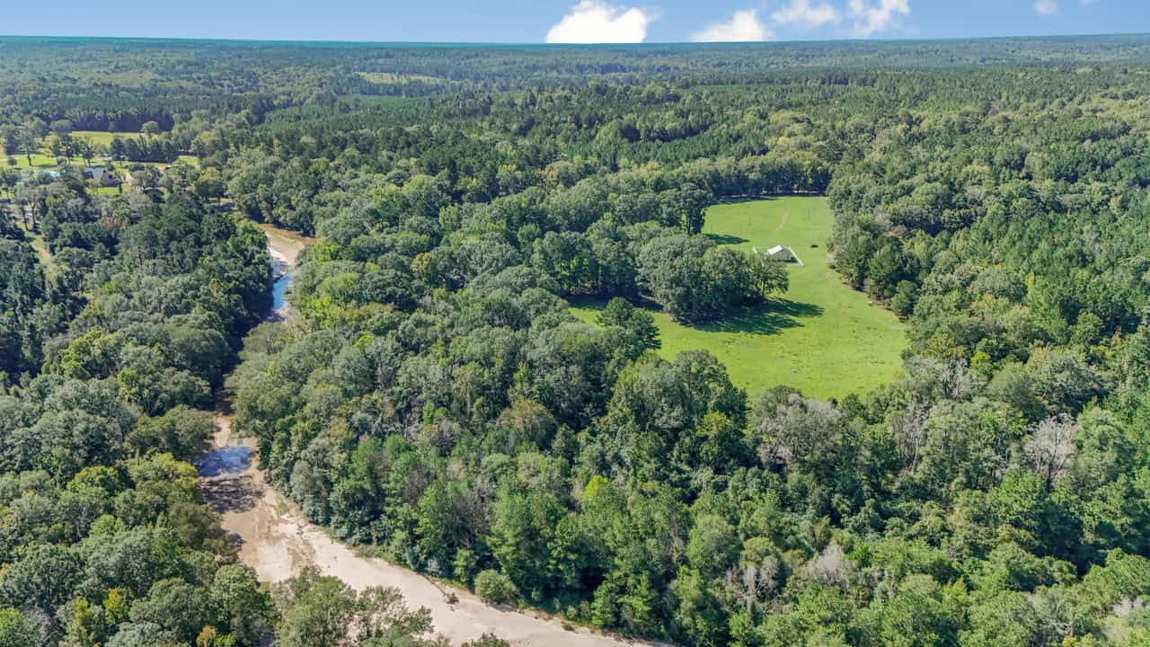Hunting Land for Sale Wilkinson County MS with Custom Lodge