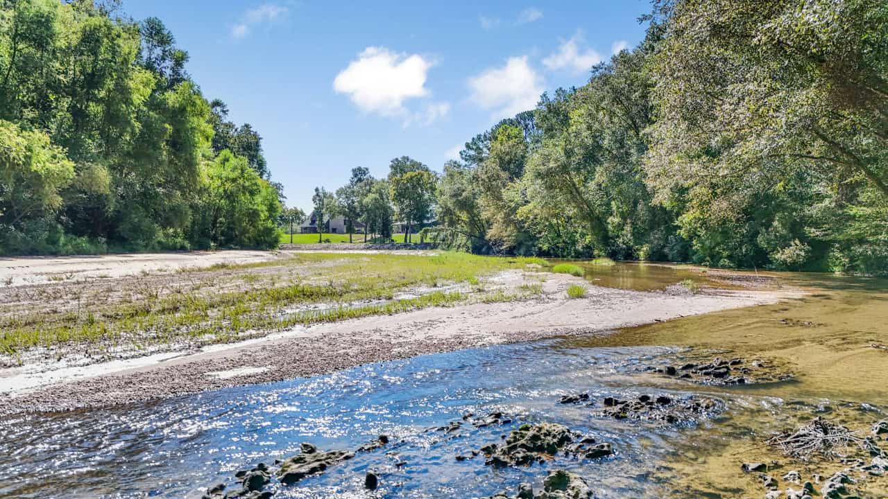Hunting Land for Sale Wilkinson County MS with Custom Lodge