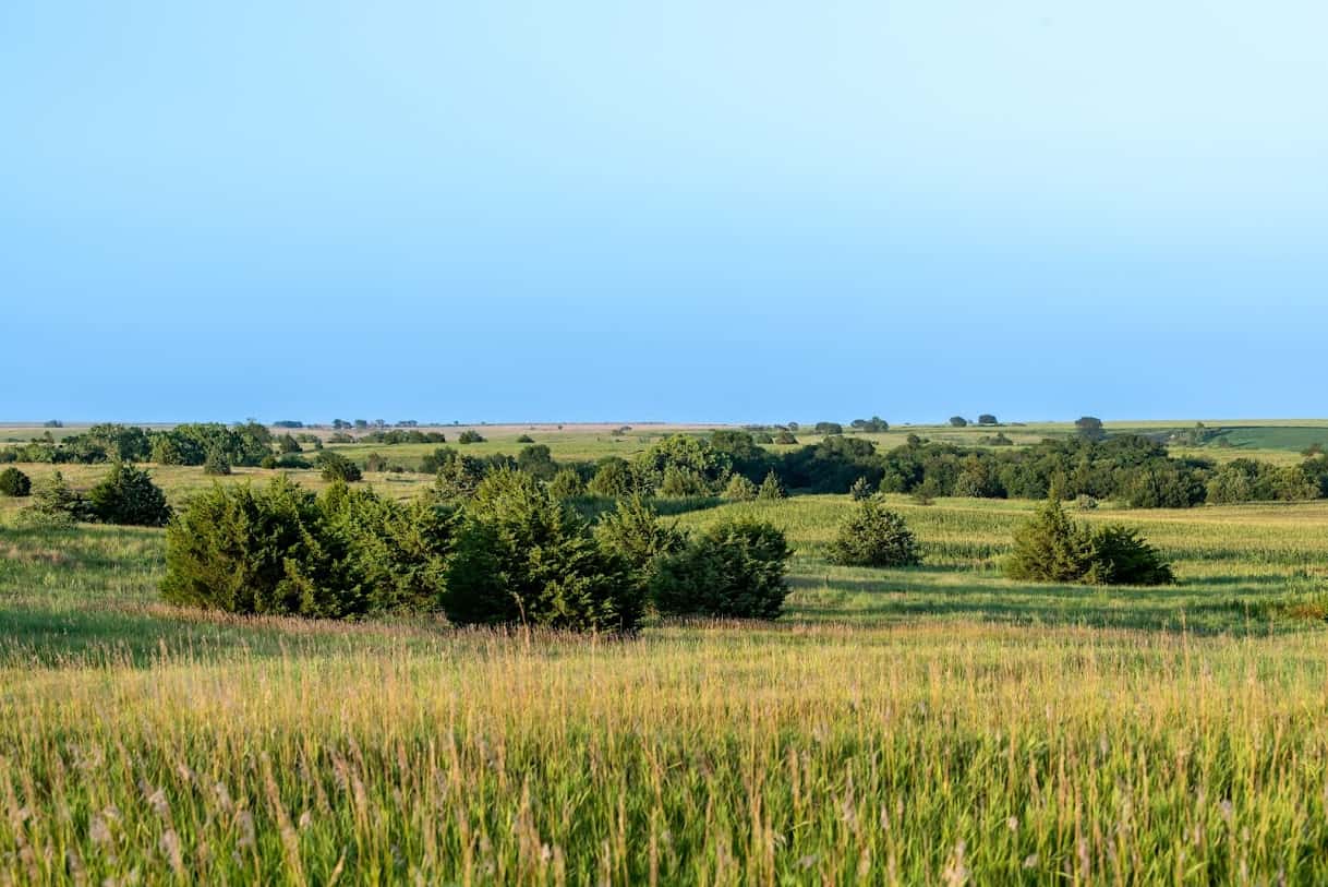 NEBRASKA EAST MUDDY CREEK HUNTING & CRP FARM