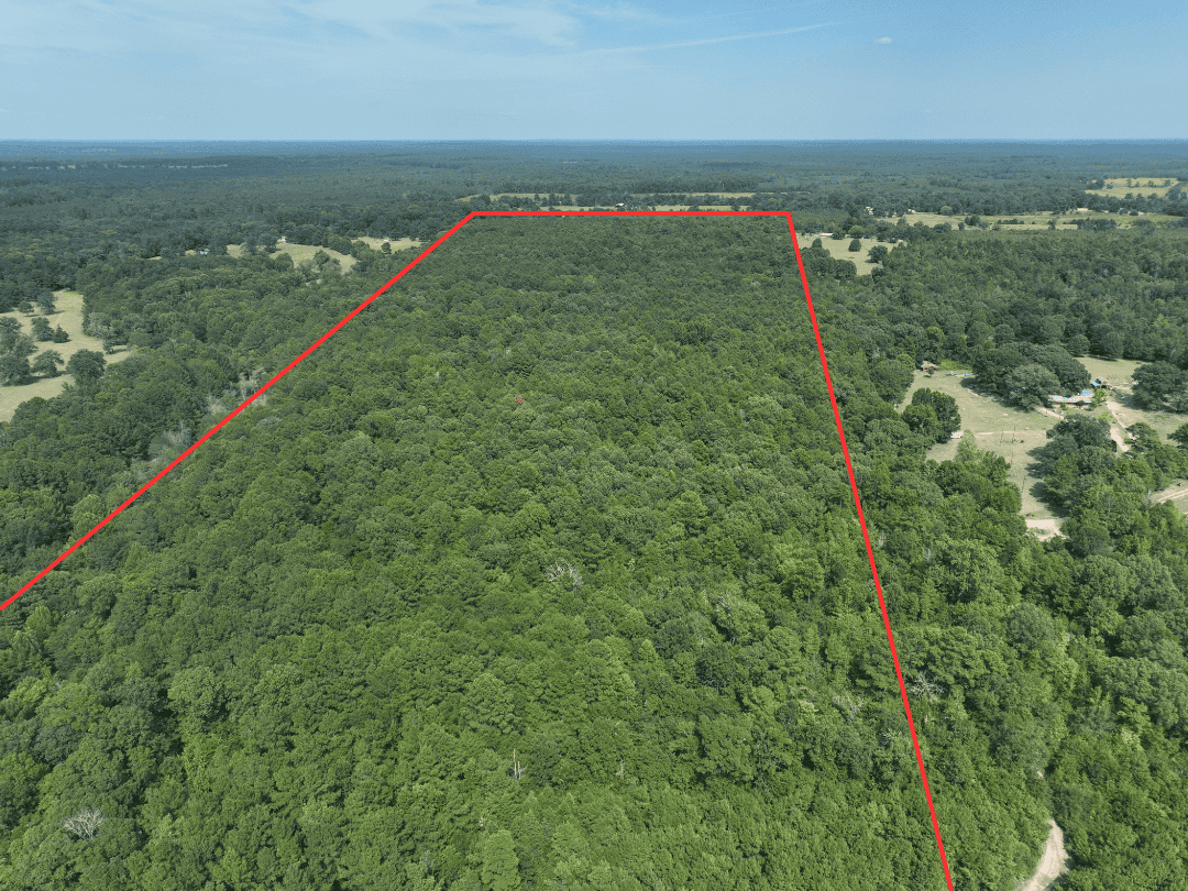 East Texas Secluded Timber Hunting Property