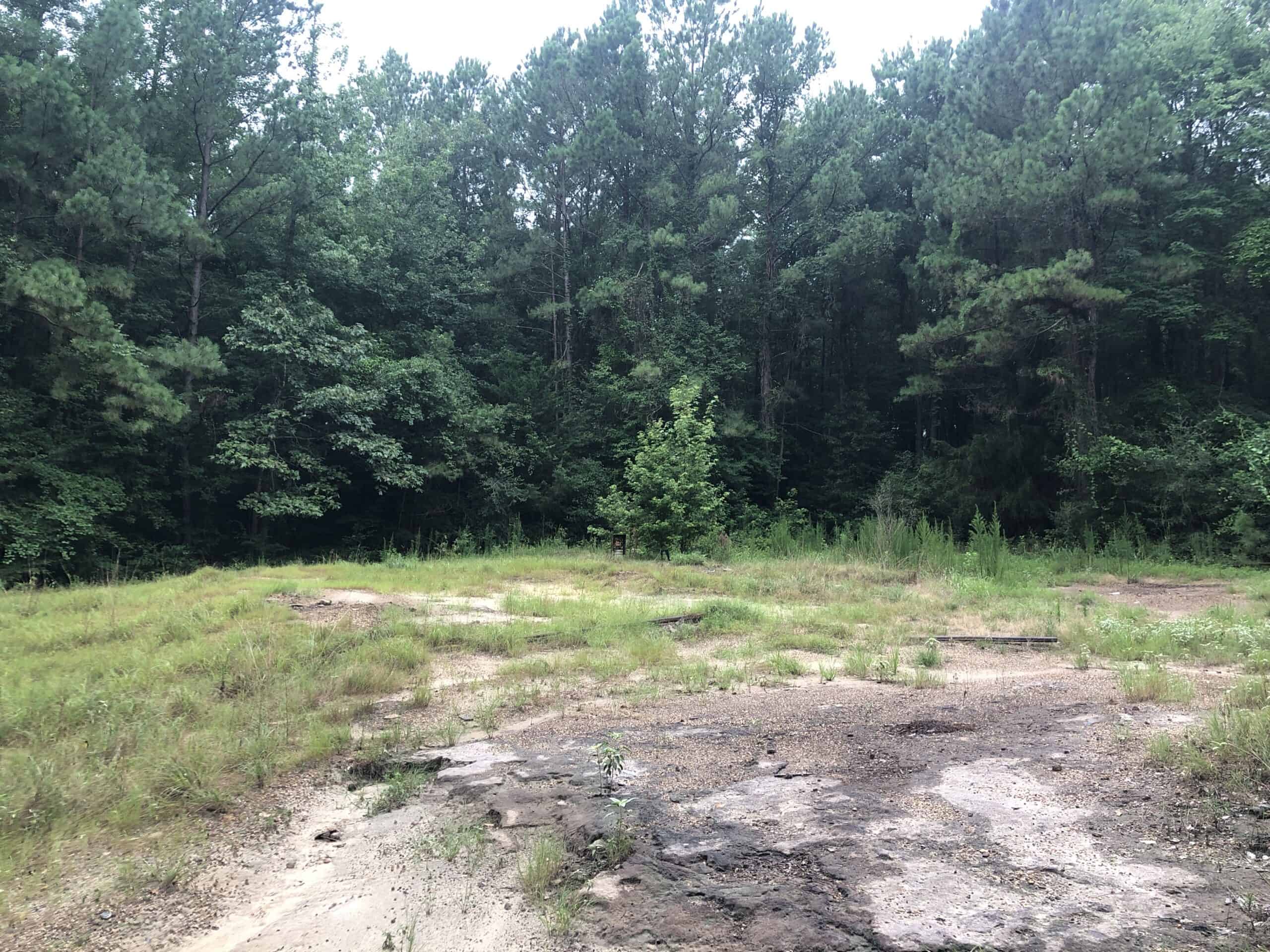 East Texas Secluded Timber Hunting Property