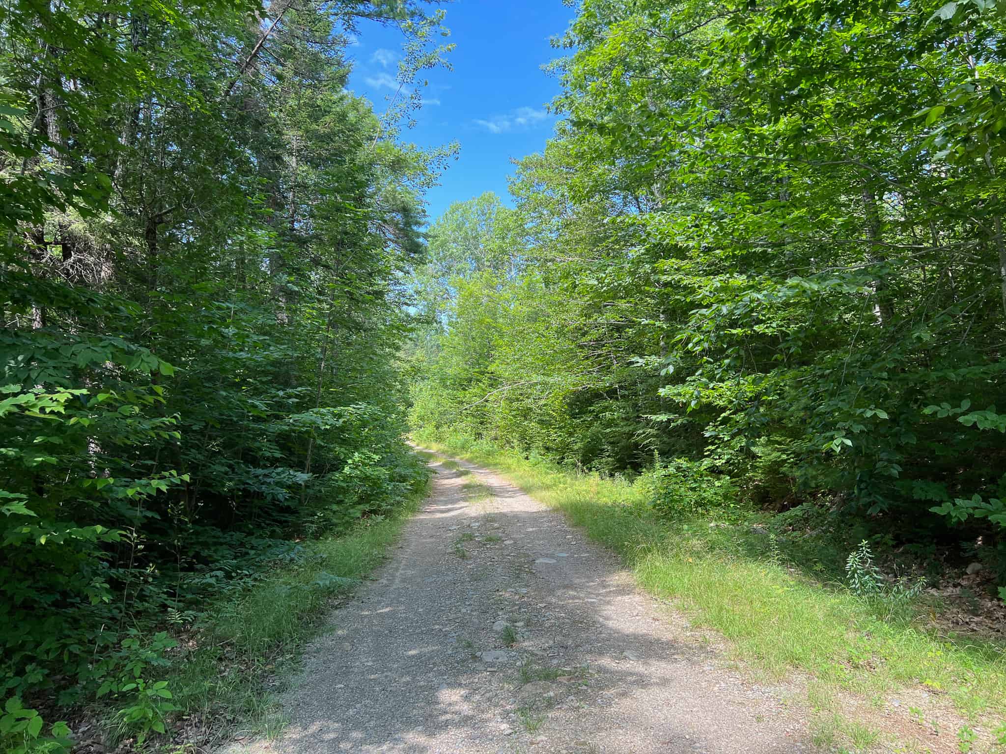 Recreational Property with Brook Frontage