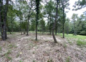 Land for Sale Near Tatum, Tx
