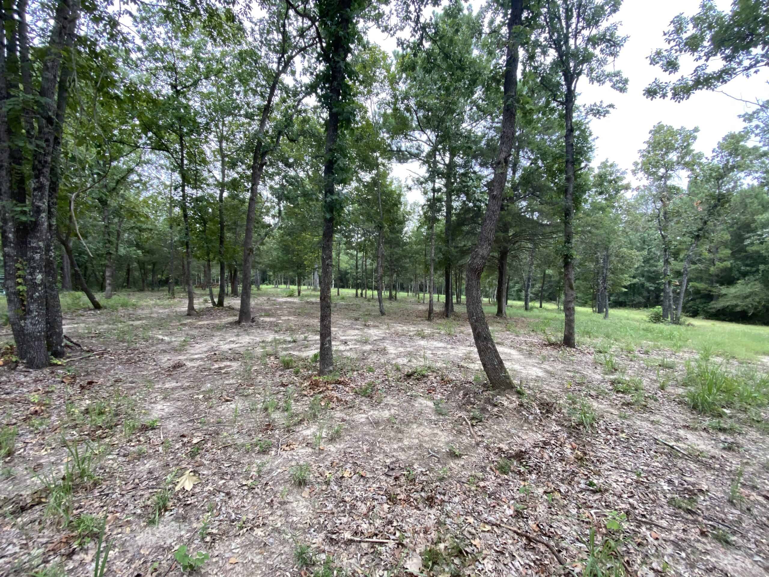 Land for Sale Near Tatum, Tx