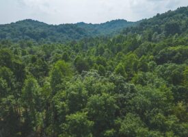 Unrestricted Land in the Church Hill Community, Hawkins County, East Tennessee